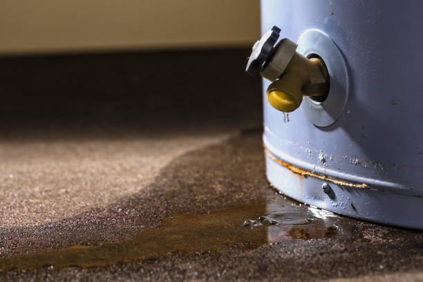 Best Water damage restoration services  in Emerson, GA