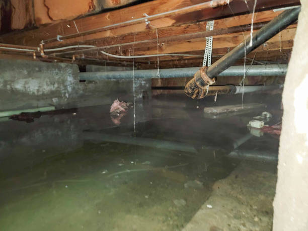 Best Flood restoration services  in Emerson, GA