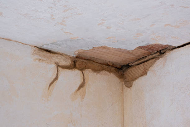 Best Ceiling water damage repair  in Emerson, GA
