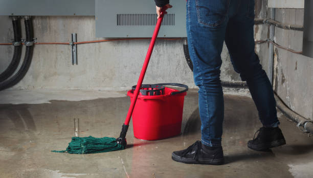 Best Water damage restoration near me  in Emerson, GA