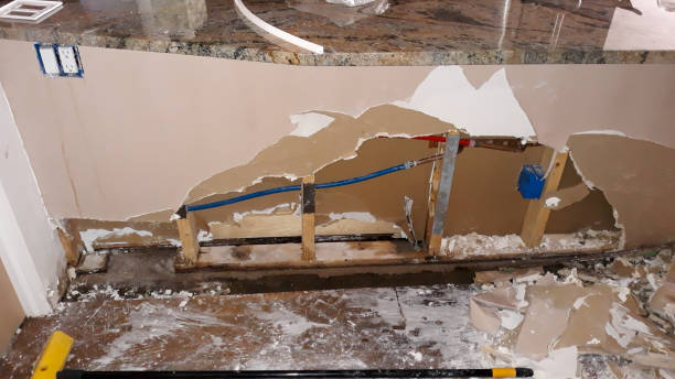 Best Water damage restoration process  in Emerson, GA