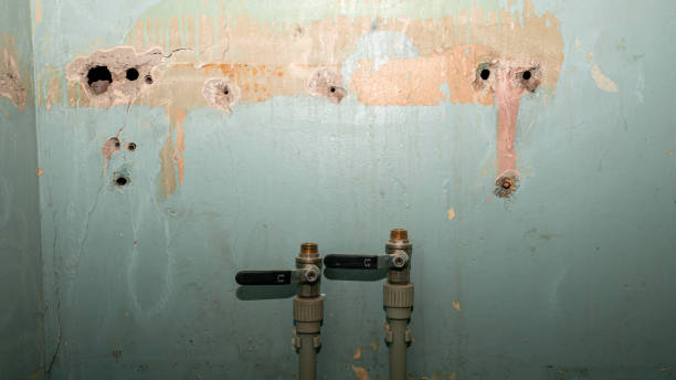 Best Local water damage restoration  in Emerson, GA