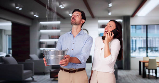 Best Professional water damage repair  in Emerson, GA