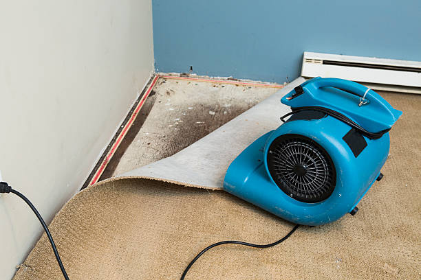 Best Water damage restoration near me  in Emerson, GA